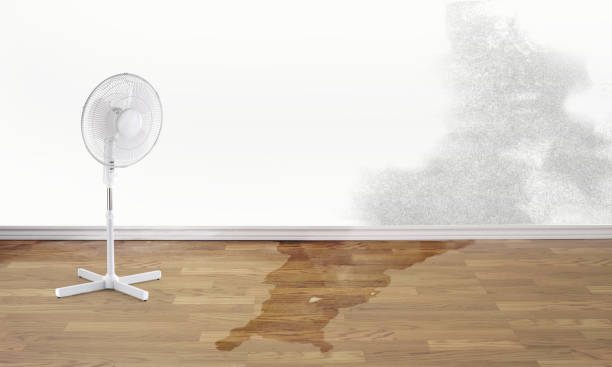 Best Commercial water damage restoration  in Makaha, HI
