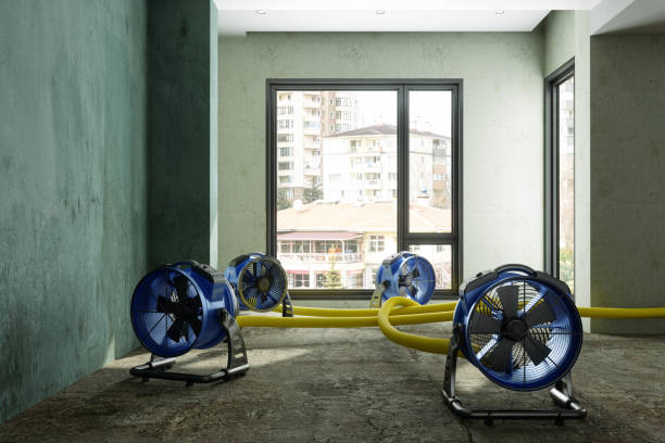 Best Local water damage restoration  in Makaha, HI